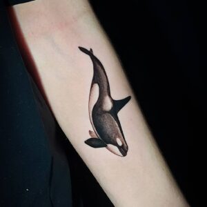 tattoo de baleia