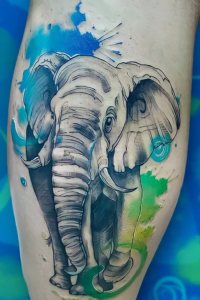 tatuagem de elefante aquarela