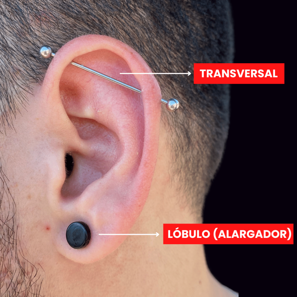fotos dos tipos de piercings na orelha: transversal e alargador