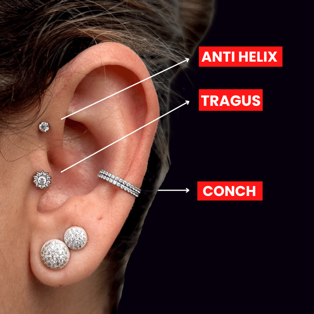 fotos dos tipos de piercings na orelha: anti helix, tragus, conch