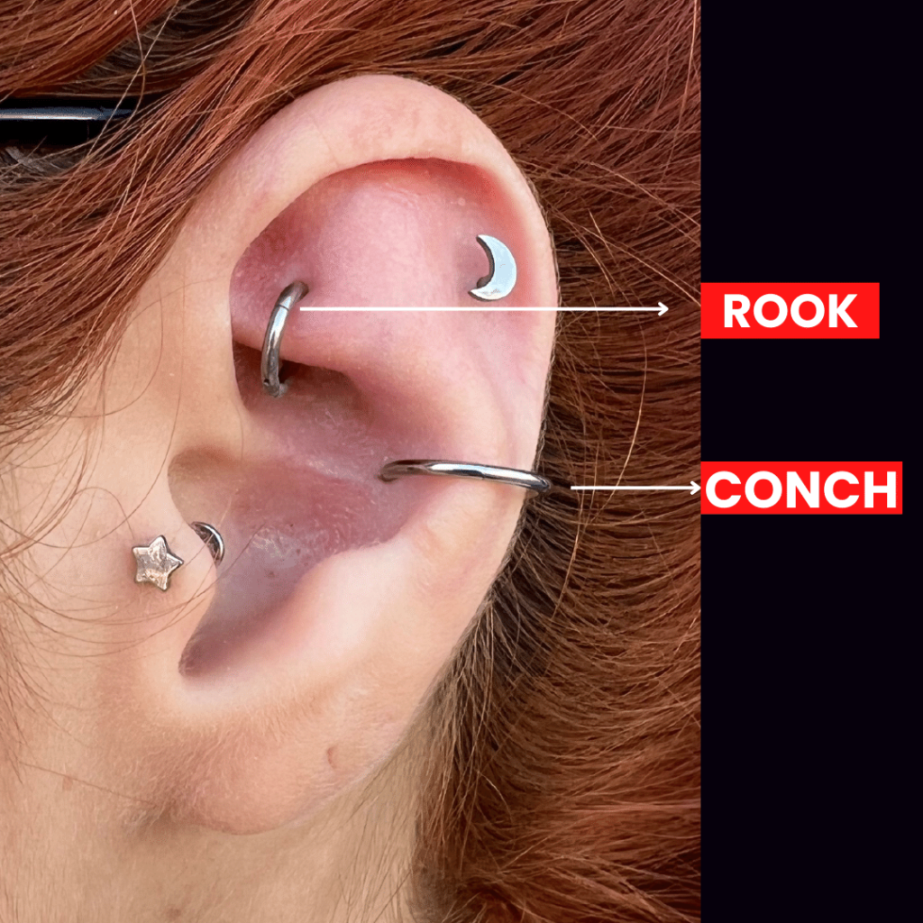 fotos dos tipos de piercings na orelha: rook e conch
